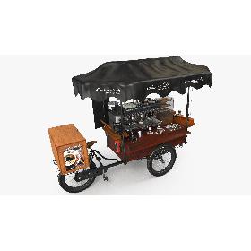 Respiratory System Smoker's Lungs (middle stage) 3D model